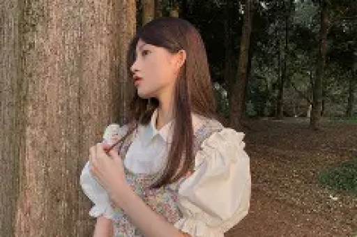 中文版奥特曼大全集免费
